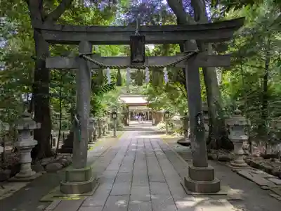 駒木諏訪神社(千葉県)