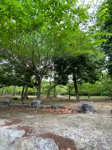 八幡神社の建物その他