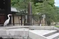 東寺(教王護国寺)の動物