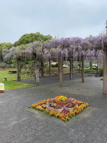 大山祇神社(愛媛県)