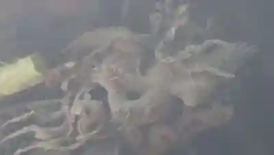 荏原神社のその他建物