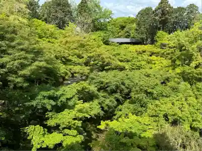 東福禅寺(東福寺)(京都府)