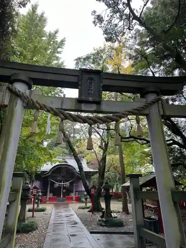 麻賀多神社(千葉県)