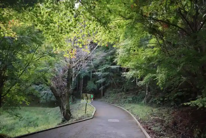 臼杵石仏の建物その他