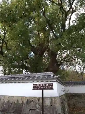 深江神社(福岡県)