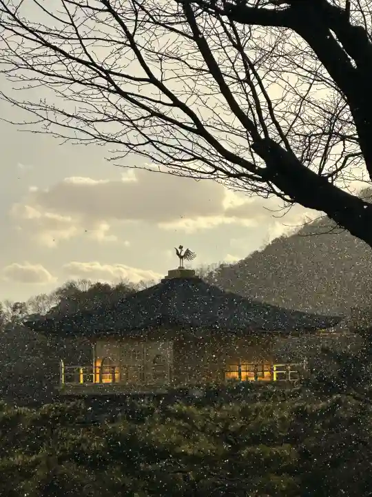 鹿苑寺(金閣寺)の{uncategorized: "未分類", other: "その他", undefined: "問題あり", building: "その他建物", grave: "お墓", sacred_gate: "鳥居", guardian: "狛犬", statue: "像", buddha: "仏像", history: "歴史", nature: "自然", garden: "庭園", animal: "動物", pagoda: "塔", temizu: "手水舎", mountain_gate: "山門・神門", sanctuary: "本殿・本堂", subordinate: "末社・摂社", art: "芸術", scenery: "景色", jizo: "地蔵", ema: "絵馬", goshuin: "御朱印", omikuji: "おみくじ", items: "授与品その他", amulet: "お守り", goshuincho: "御朱印帳", eats: "食事", festival: "お祭り", votive_dance: "神楽", shichigosan: "七五三参", wedding: "結婚式", experience: "体験その他", initially: "初詣", around: "周辺", anti_infection: "感染症対策"}