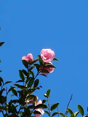 六甲比命大善神社(兵庫県)