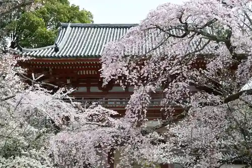 醍醐寺(京都府)