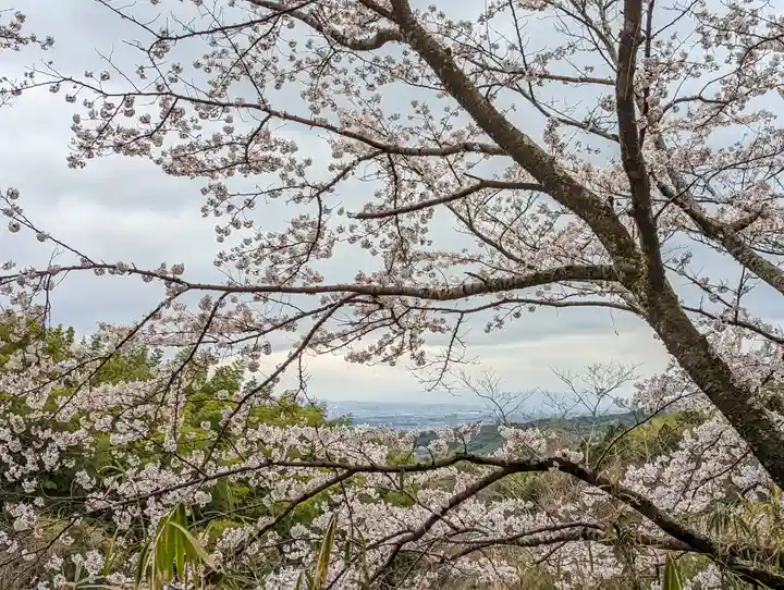 勝持寺(花の寺)(京都府)