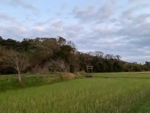 川田神社の鳥居