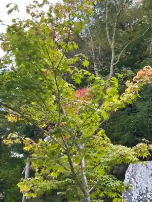 北向観音(長野県)