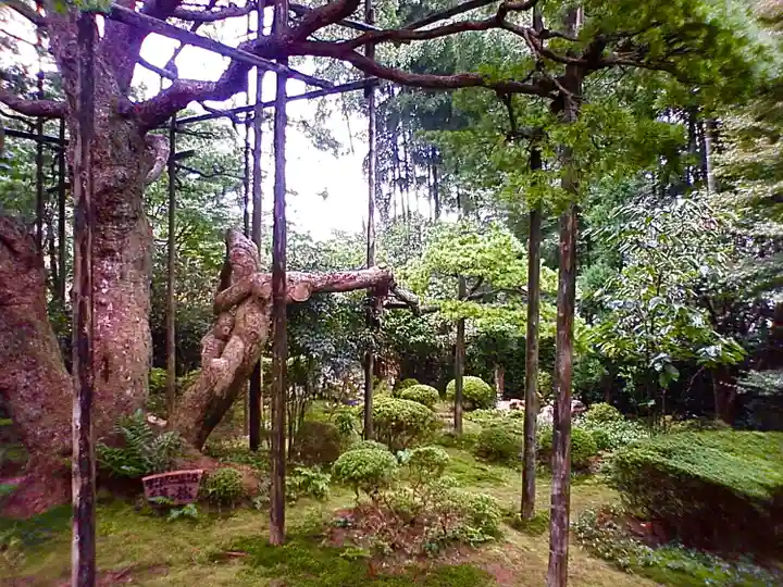 宝泉院(京都府)