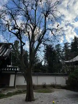 恵林寺(山梨県)