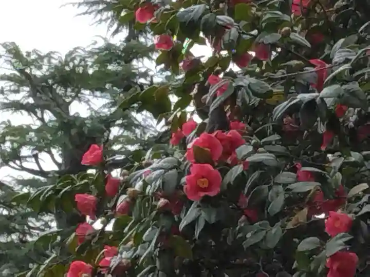 東光禅寺(神奈川県)