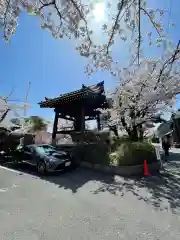 妙顯寺（妙顕寺）の建物その他