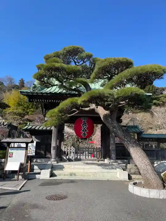 長谷寺の山門・神門