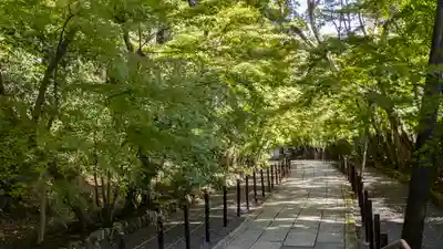 光明寺（粟生光明寺）(京都府)