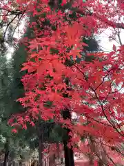 石道寺(滋賀県)