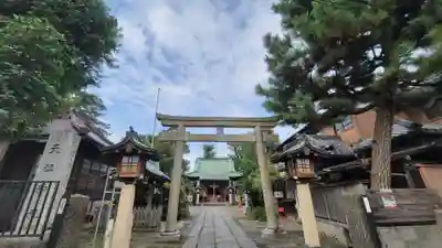 高円寺天祖神社の鳥居