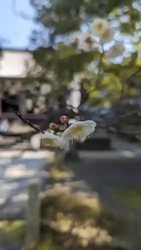  智積院(京都府)