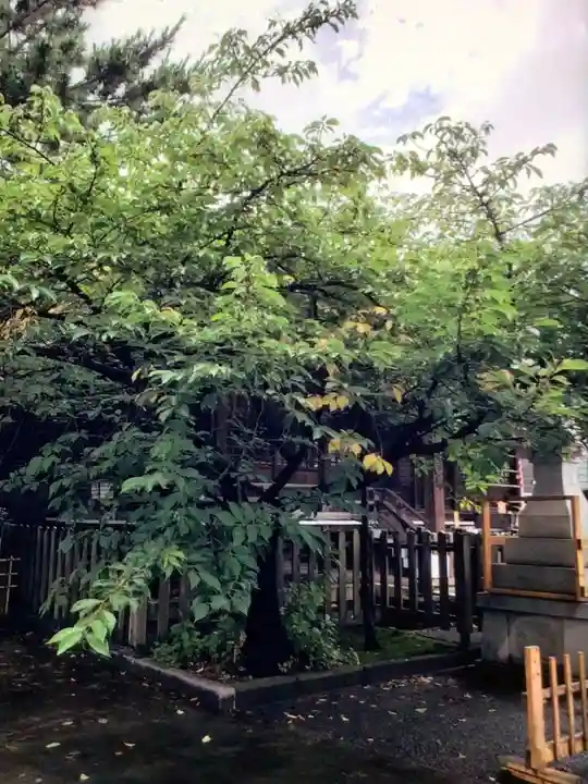新宿下落合氷川神社(東京都)