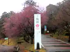 石稲荷神社の周辺