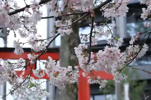 川越八幡宮の{uncategorized: "未分類", other: "その他", undefined: "問題あり", building: "その他建物", grave: "お墓", sacred_gate: "鳥居", guardian: "狛犬", statue: "像", buddha: "仏像", history: "歴史", nature: "自然", garden: "庭園", animal: "動物", pagoda: "塔", temizu: "手水舎", mountain_gate: "山門・神門", sanctuary: "本殿・本堂", subordinate: "末社・摂社", art: "芸術", scenery: "景色", jizo: "地蔵", ema: "絵馬", goshuin: "御朱印", omikuji: "おみくじ", items: "授与品その他", amulet: "お守り", goshuincho: "御朱印帳", eats: "食事", festival: "お祭り", votive_dance: "神楽", shichigosan: "七五三参", wedding: "結婚式", experience: "体験その他", initially: "初詣", around: "周辺", anti_infection: "感染症対策"}