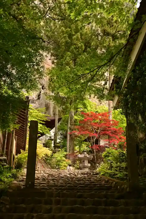 橋立堂(埼玉県)