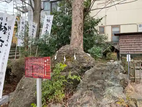 秩父今宮神社の庭園