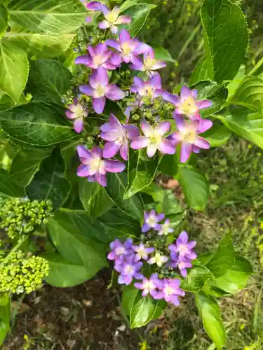 大生郷天満宮の自然