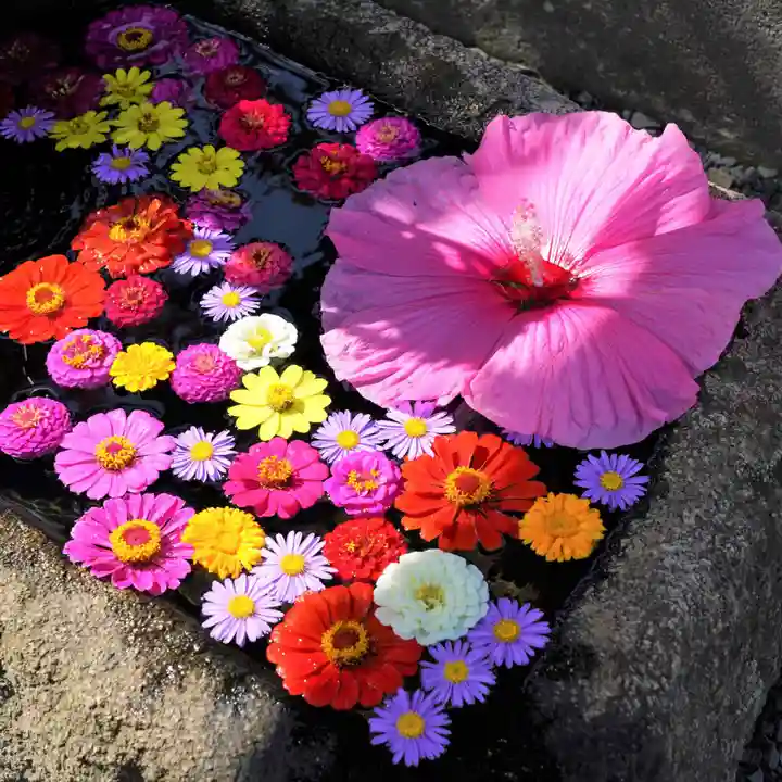 大鏑神社の手水舎