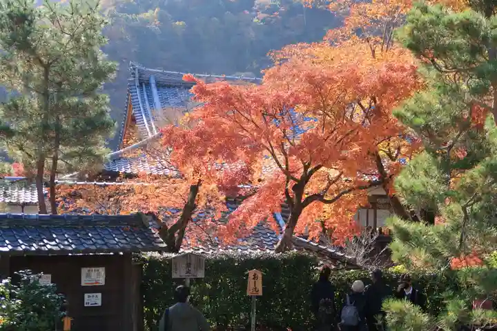 天龍寺のその他建物