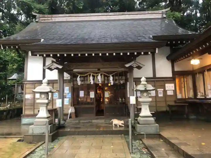 王子神社の本殿・本堂