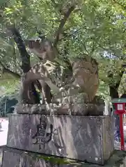 鷲宮神社(埼玉県)