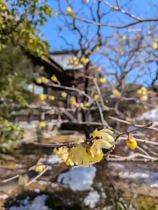 高円寺(東京都)