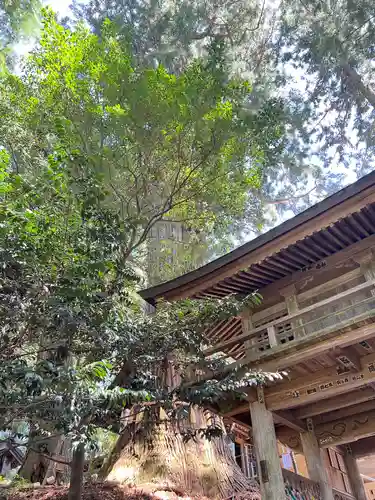 鷲子山上神社(栃木県)