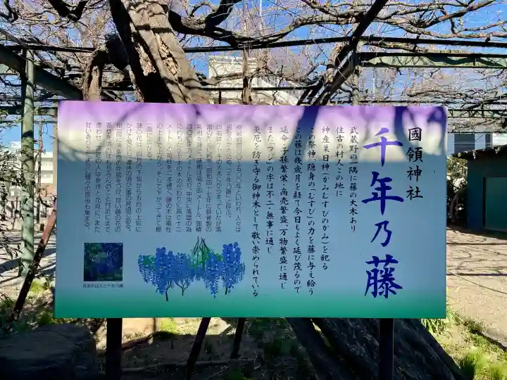 國領神社の{uncategorized: "未分類", other: "その他", undefined: "問題あり", building: "その他建物", grave: "お墓", sacred_gate: "鳥居", guardian: "狛犬", statue: "像", buddha: "仏像", history: "歴史", nature: "自然", garden: "庭園", animal: "動物", pagoda: "塔", temizu: "手水舎", mountain_gate: "山門・神門", sanctuary: "本殿・本堂", subordinate: "末社・摂社", art: "芸術", scenery: "景色", jizo: "地蔵", ema: "絵馬", goshuin: "御朱印", omikuji: "おみくじ", items: "授与品その他", amulet: "お守り", goshuincho: "御朱印帳", eats: "食事", festival: "お祭り", votive_dance: "神楽", shichigosan: "七五三参", wedding: "結婚式", experience: "体験その他", initially: "初詣", around: "周辺", anti_infection: "感染症対策"}