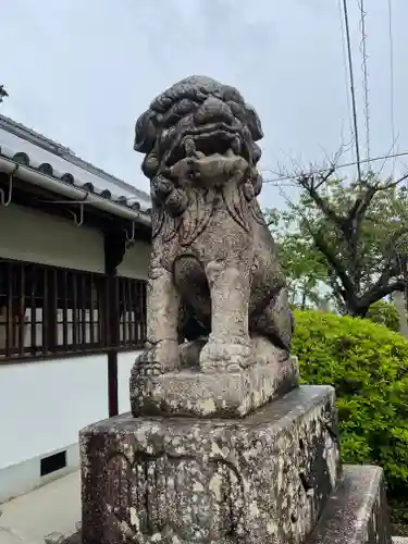 錦織神社の狛犬