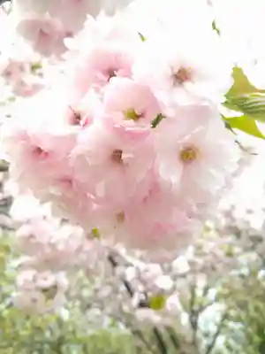 和霊神社の自然