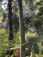 大宮温泉神社(栃木県)