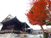佛光寺(京都府)
