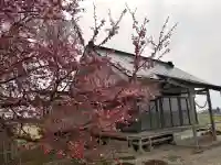 古四王神社の{uncategorized: "未分類", other: "その他", undefined: "問題あり", building: "その他建物", grave: "お墓", sacred_gate: "鳥居", guardian: "狛犬", statue: "像", buddha: "仏像", history: "歴史", nature: "自然", garden: "庭園", animal: "動物", pagoda: "塔", temizu: "手水舎", mountain_gate: "山門・神門", sanctuary: "本殿・本堂", subordinate: "末社・摂社", art: "芸術", scenery: "景色", jizo: "地蔵", ema: "絵馬", goshuin: "御朱印", omikuji: "おみくじ", items: "授与品その他", amulet: "お守り", goshuincho: "御朱印帳", eats: "食事", festival: "お祭り", votive_dance: "神楽", shichigosan: "七五三参", wedding: "結婚式", experience: "体験その他", initially: "初詣", around: "周辺", anti_infection: "感染症対策"}