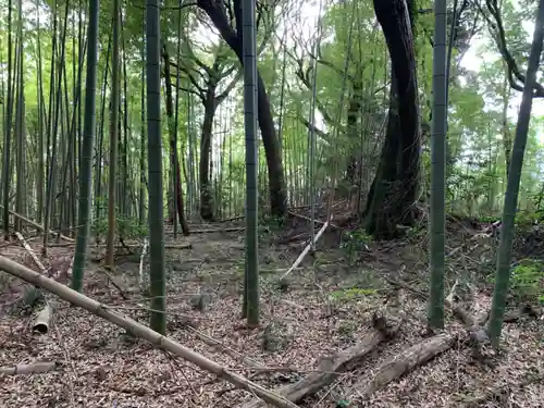八幡神社(千葉県)