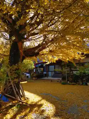 徳翁院(愛知県)
