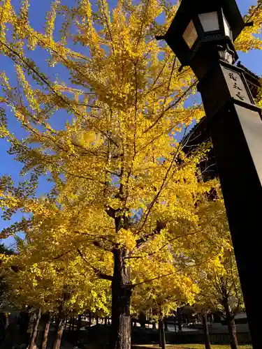 清大寺(越前大仏)(福井県)