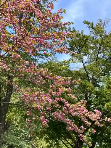 相内神社(北海道)