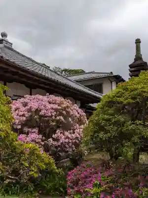 安養院　(田代寺）(神奈川県)