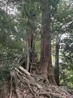 事任八幡宮(静岡県)