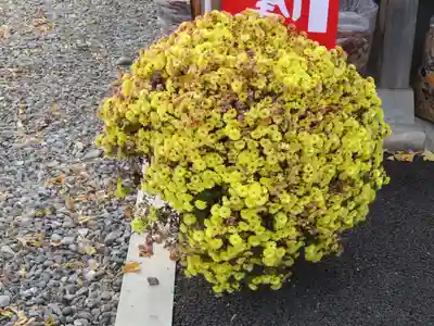 浄土宗善立寺の自然