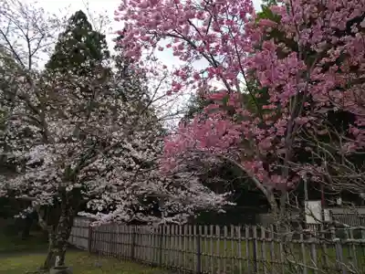 大覚寺(京都府)